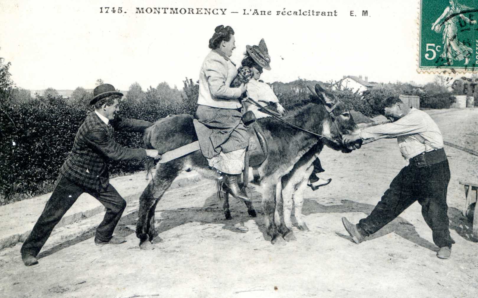 Promenade à dos d'âne