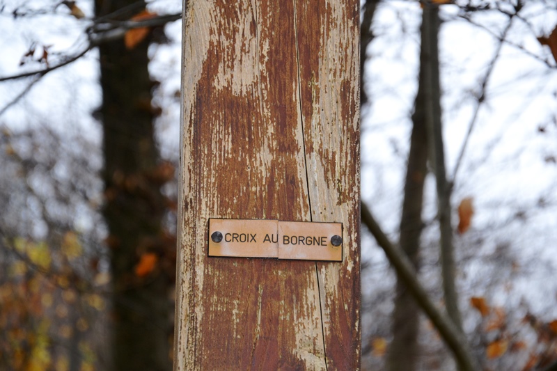 Croix au Borgne dans la Forêt de Montmorency