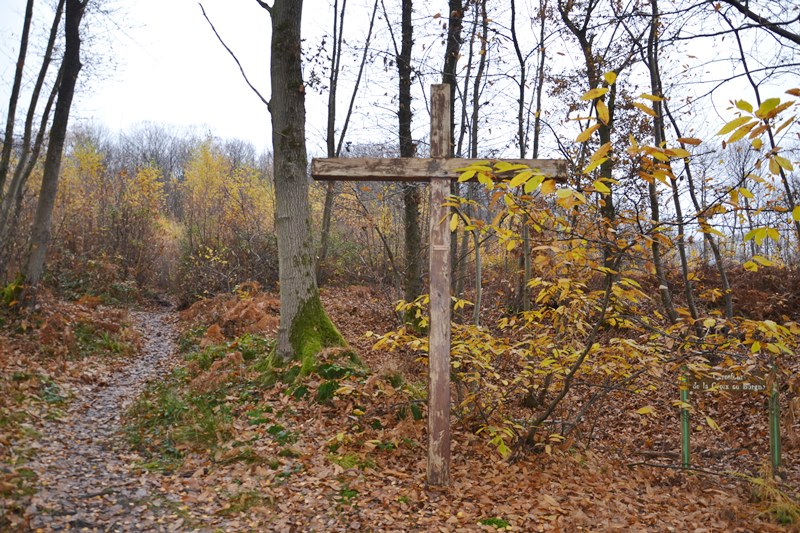 Croix au borgne dans la Forêt de Montmorency