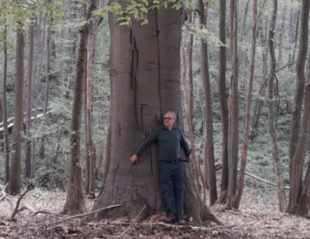 Denis Hemmer au coeur de la Forêt de Montmorency