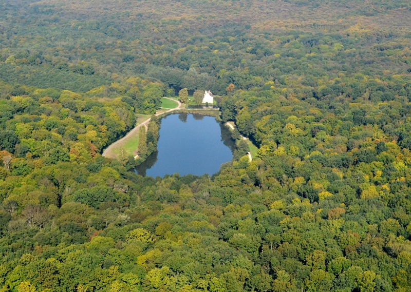 Forêt de Montmorency