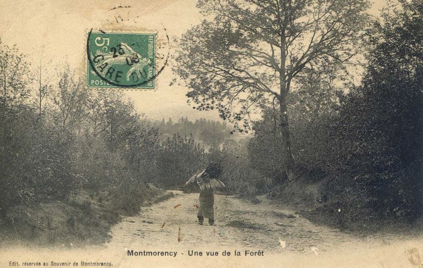 Métiers du bois dans la Forêt de Montmorency