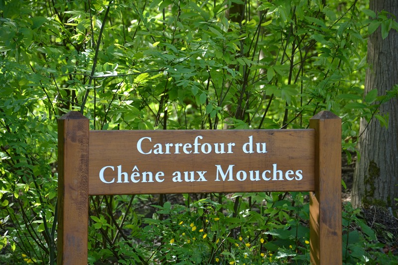 Carrefour du Chêne aux Mouches