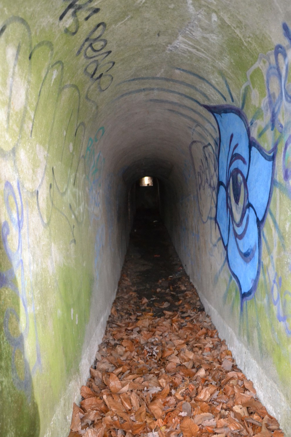 Batterie de Blémur