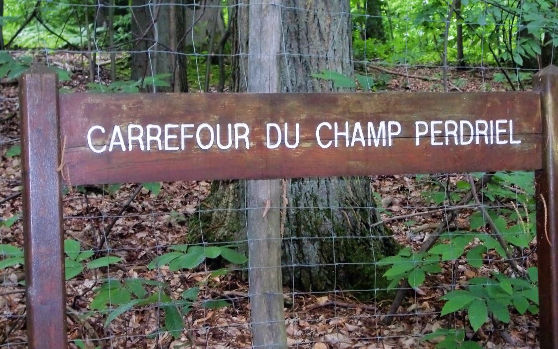 Carrefour du Champ Perdriel