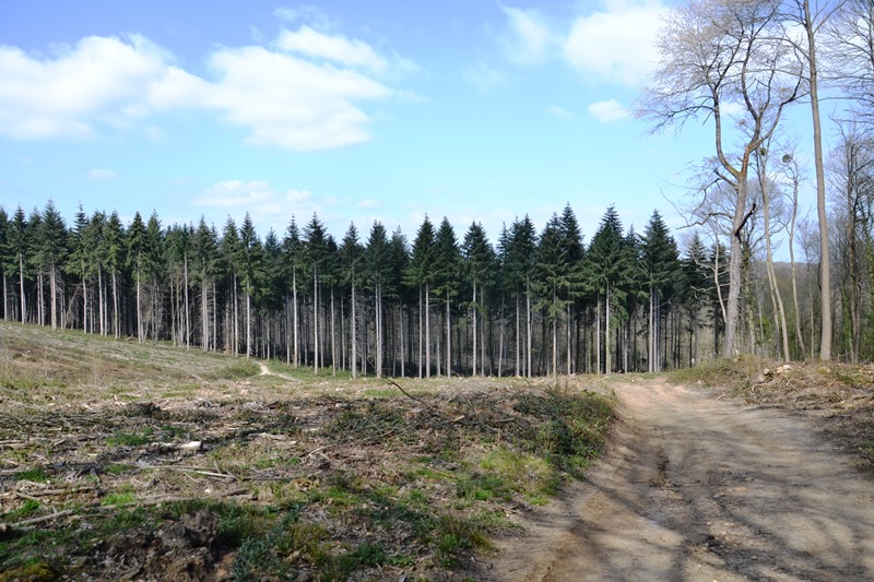 Chemin de la Grande Montagne - Saint-Prix