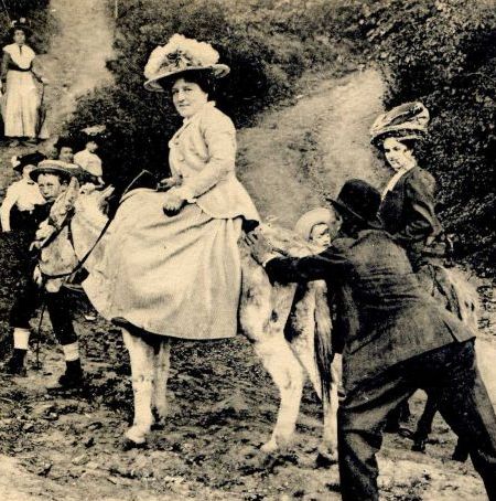 L'âne récalcitrant
