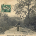 Histoire Forêt de Montmorency : les différents métiers du bois.  
