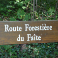Histoire Forêt de Montmorency > anecdotes sur le nom des chemins, routes et carrefours....