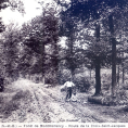 Forêt de Montmorency : retour sur la route de la Croix Saint-Jacques