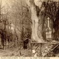 Histoire Forêt de Montmorency > le chemin de la grande montagne et la croix Saint-Jacques !