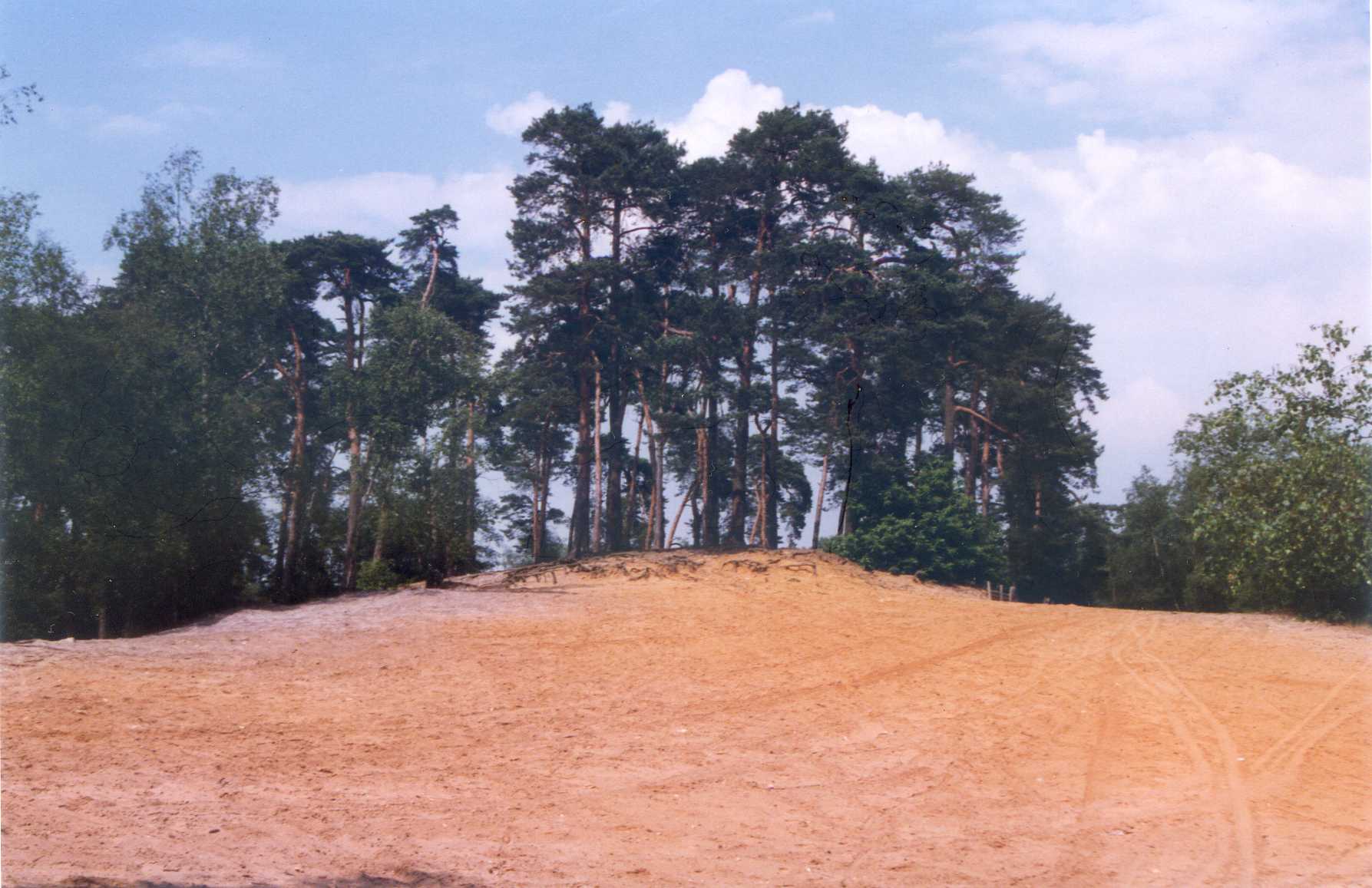 Les Pins Brûlés en 1998 avant la tempête... de 1999