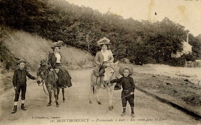 Promenades à dos d'âne - Montmorency