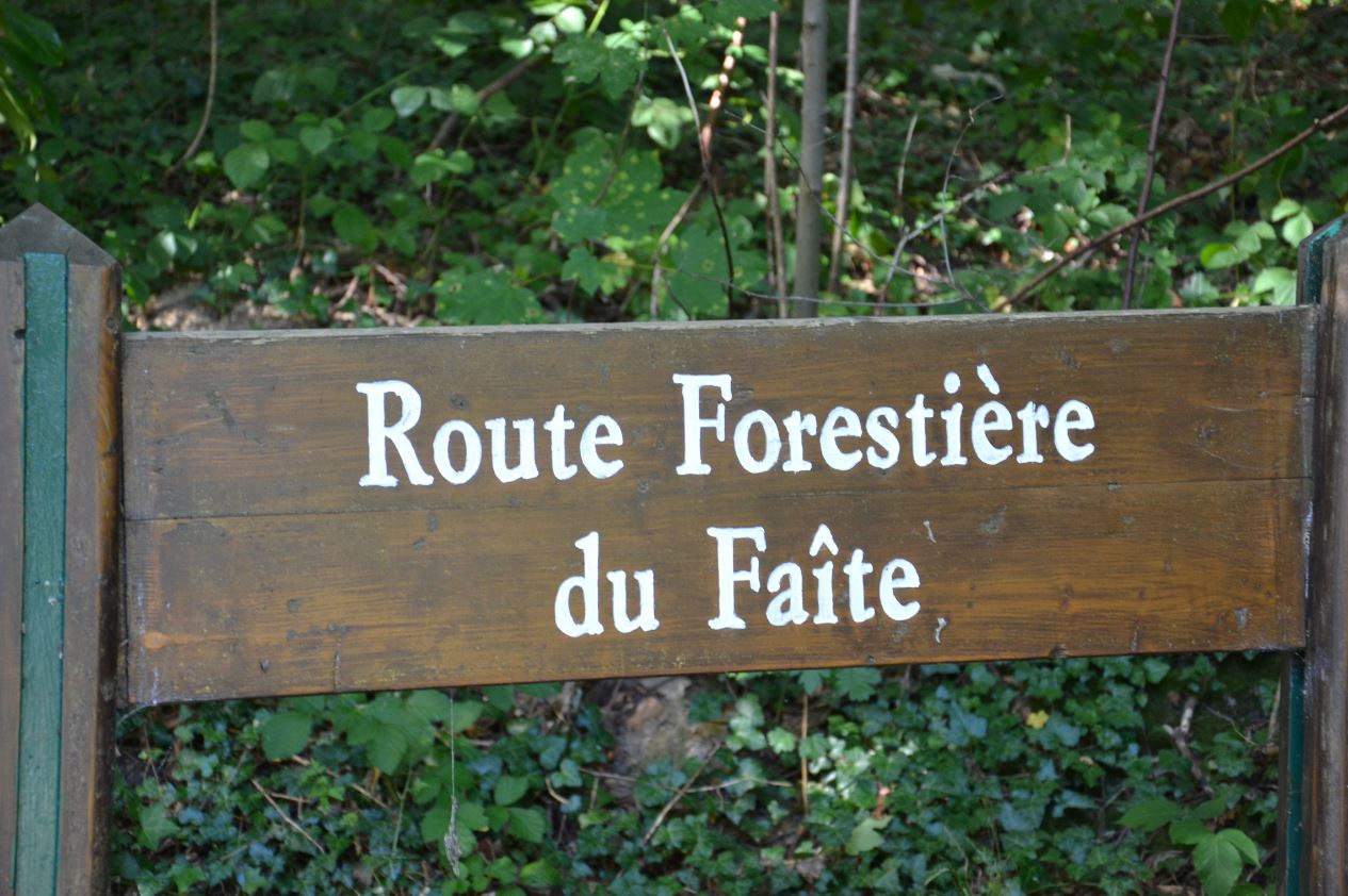 Route forestière du Faîte