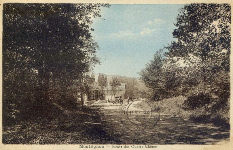 Chemin dans la Forêt de Montmorency