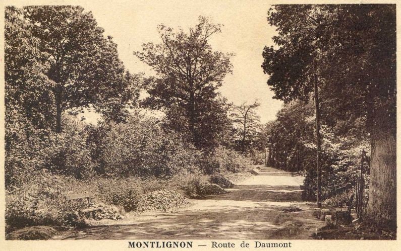 Forêt de Montmorency
