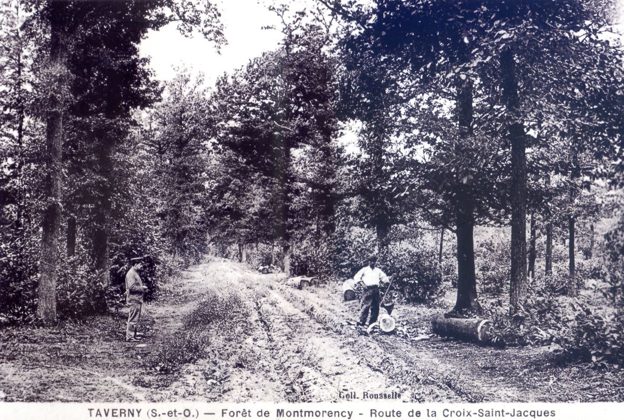 Route de la Croix Saint-Jacques - Saint-Prix