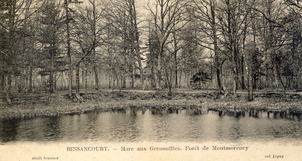 La mare aux grenouilles