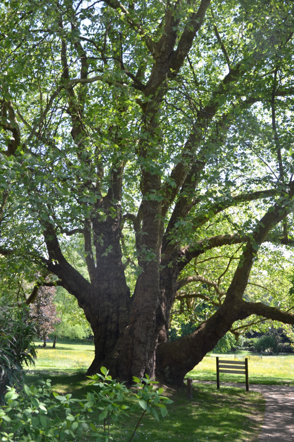 Parc du Château de la Tuyolle