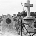 Pourquoi 270 tombes de Polonais se retrouvent dans le cimetière des Champeaux à Montmorency ? La conférence d'Hanna Zaworonko s'annonce passionnante !