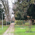 Patrimoine : balade contée autour des arbres et parcs de Margency !