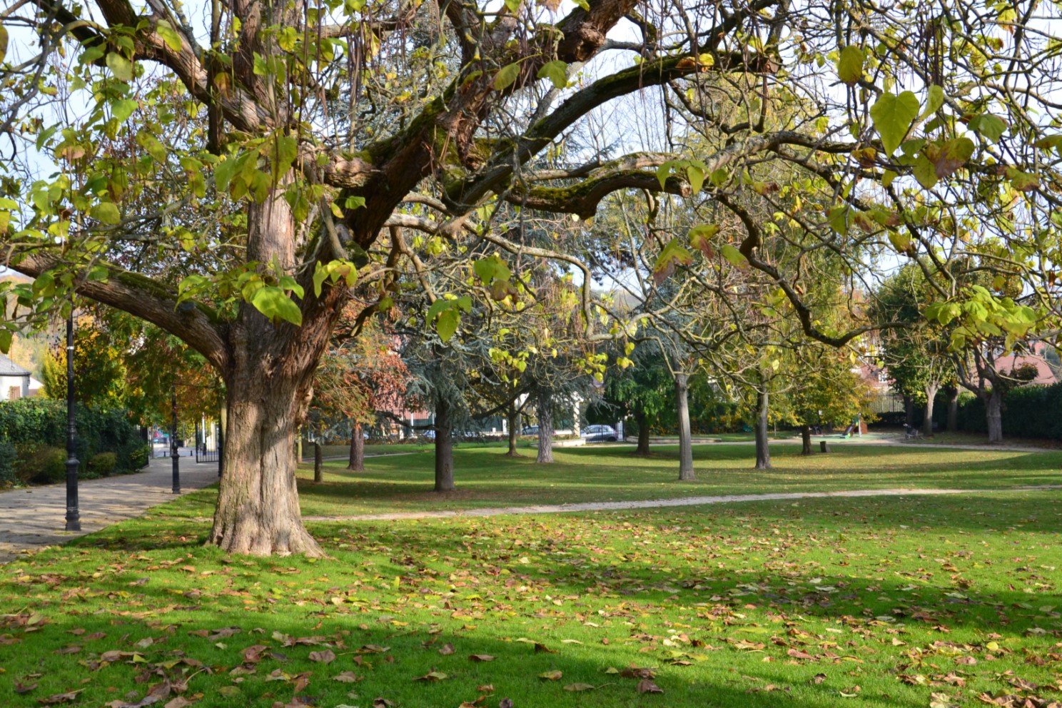 Parc de la mairie de Groslay