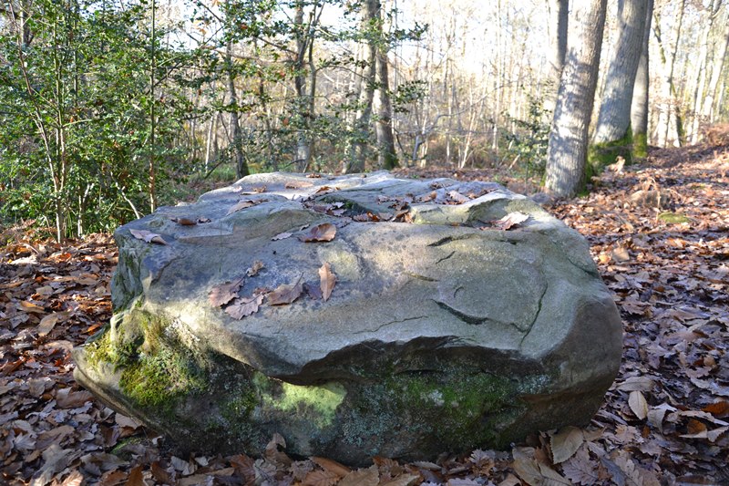 Le polissoir dans la Forêt de Montmorency