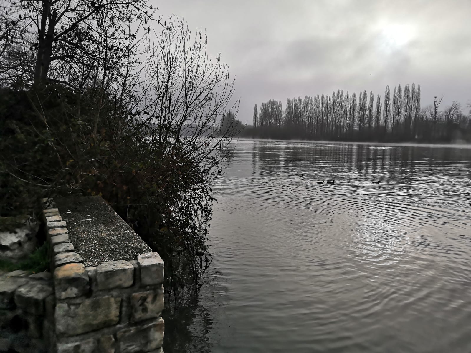 Les bords de Seine à Herblay