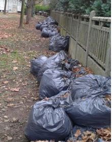 sacs poubelles remplis de feuilles