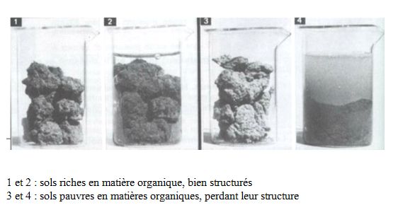 SOLS RICHES ET PAUVRES
