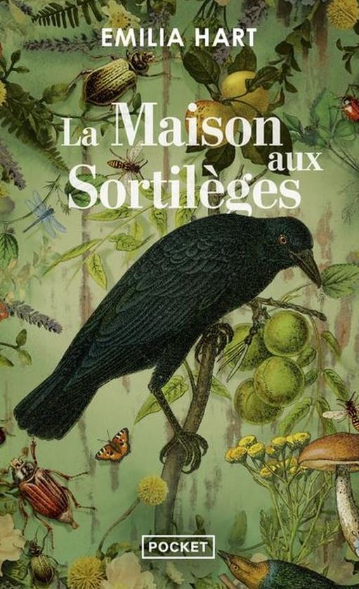 LIVRE La maison aux sortilèges