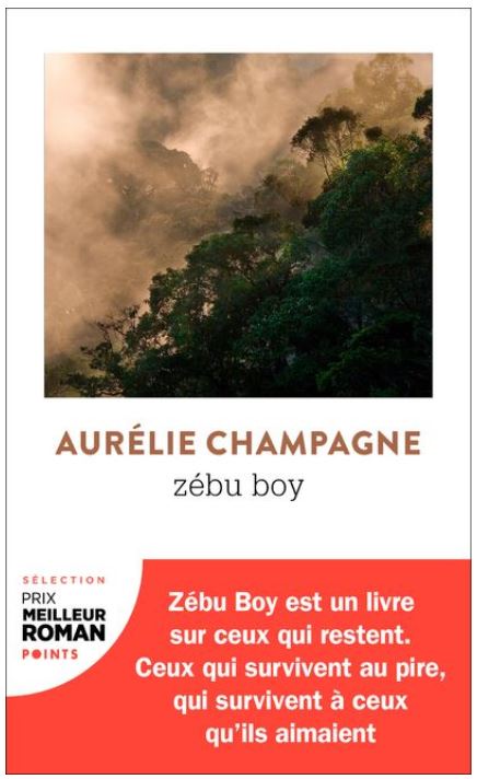 Zébu Boy de Aurélie Champagne