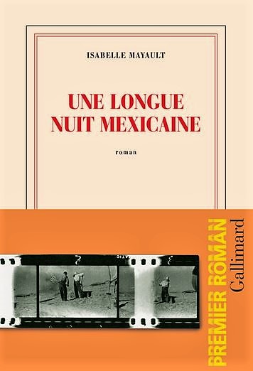 Une longue nuit mexicaine d'Isabelle Mayault