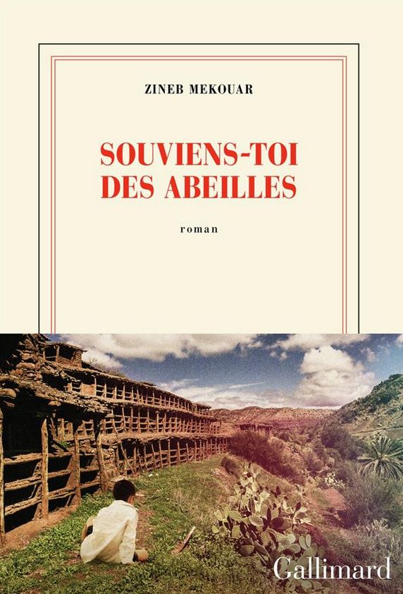 LIVRE Souviens-toi des abeilles