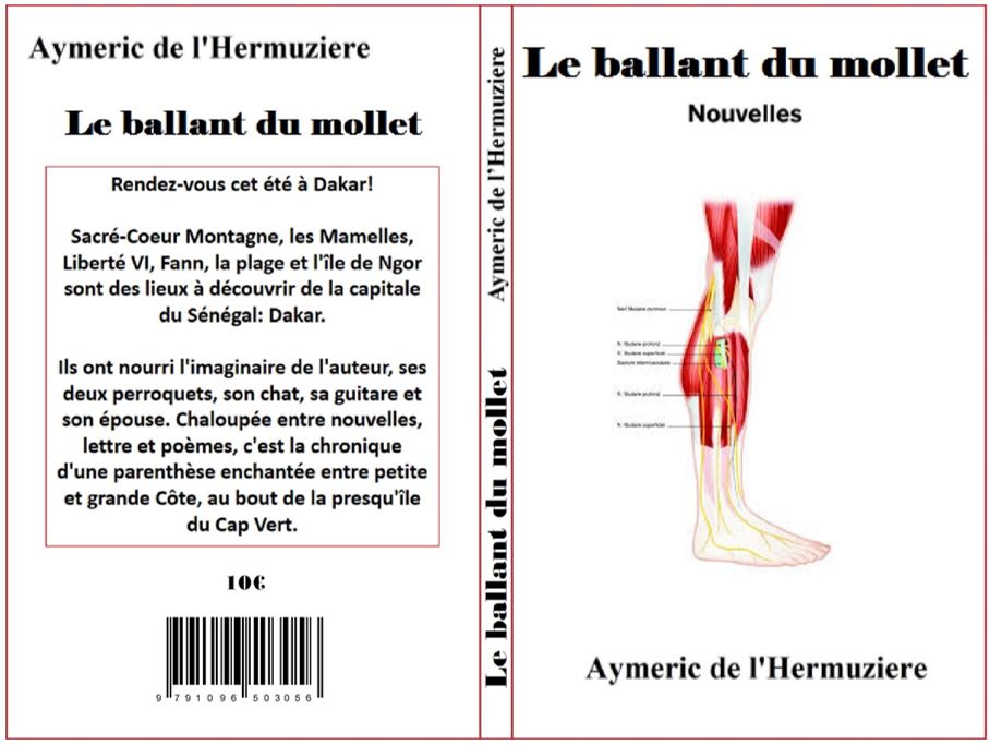 LE BALLANT DU MOLLET de AYMERIC DE L'HERMUZIERE