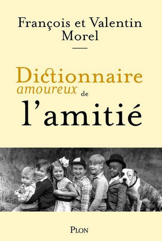 LIVRE Dictionnaire amoureux de l'amitié