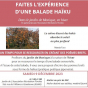 Balade haïku : séance d'écriture créative poétique dans le Jardin de Monique