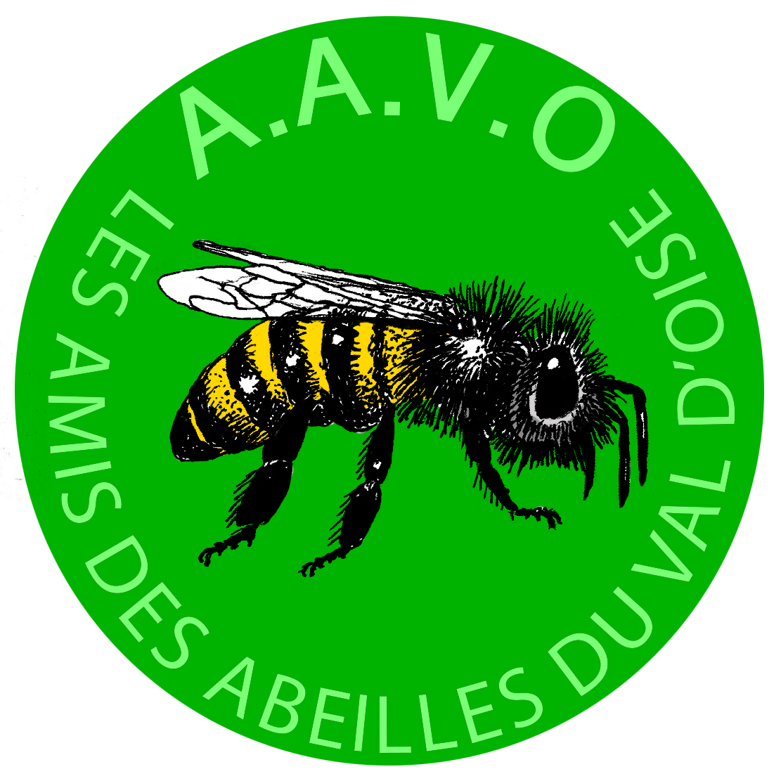 AAVO logo