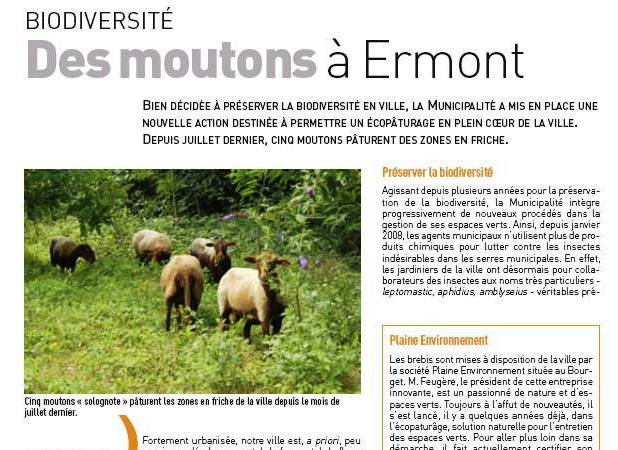 Les moutons à l'honneur du magazine d'Ermont