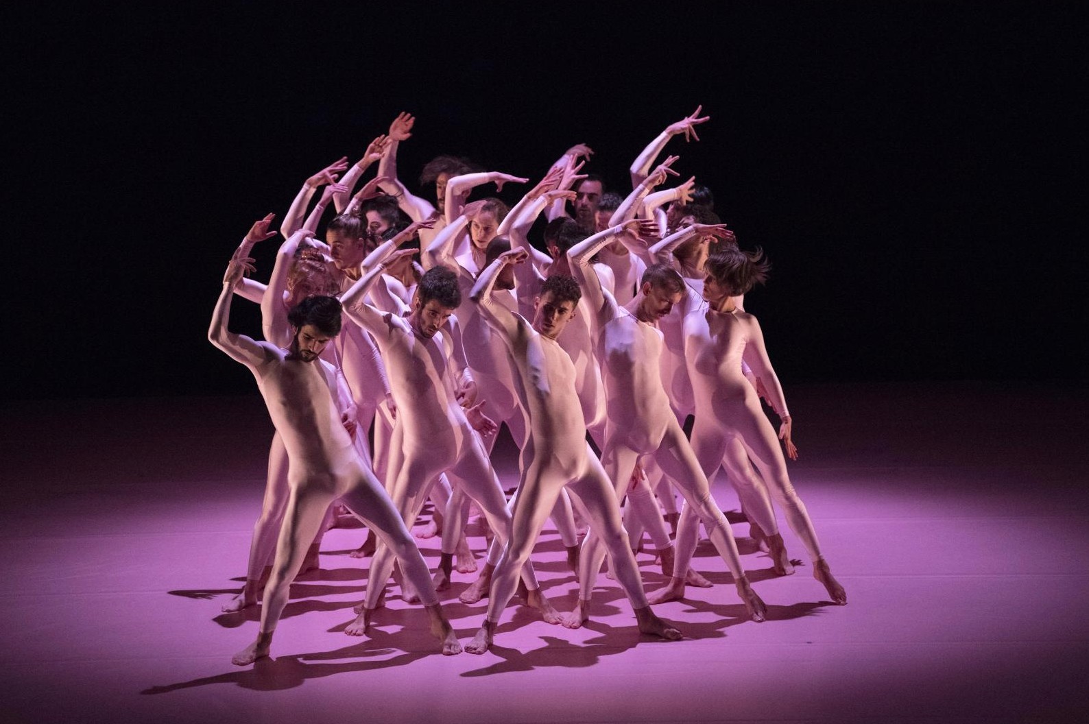 Spectacle danse - Come out
