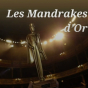 Magie : Les Mandrakes d'or - les plus grands magiciens (saison culturelle)