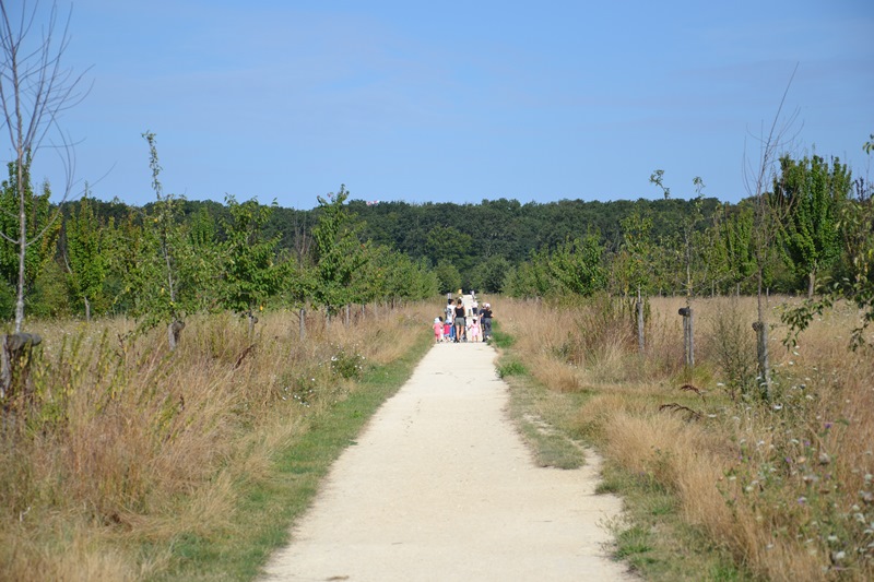 Plaine de Boissy Plessis-Bouchard