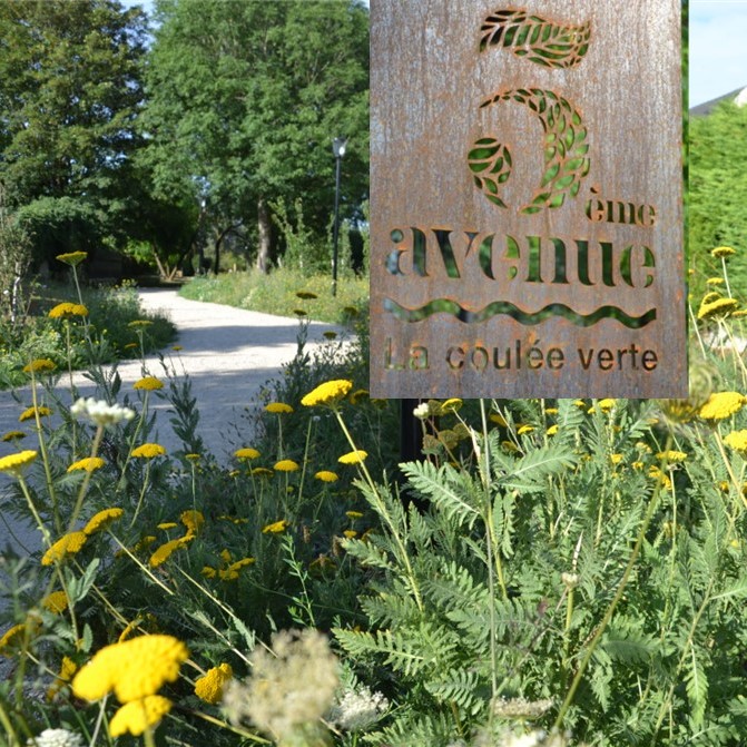 5ème avenue - Saint-Leu-la-Forêt