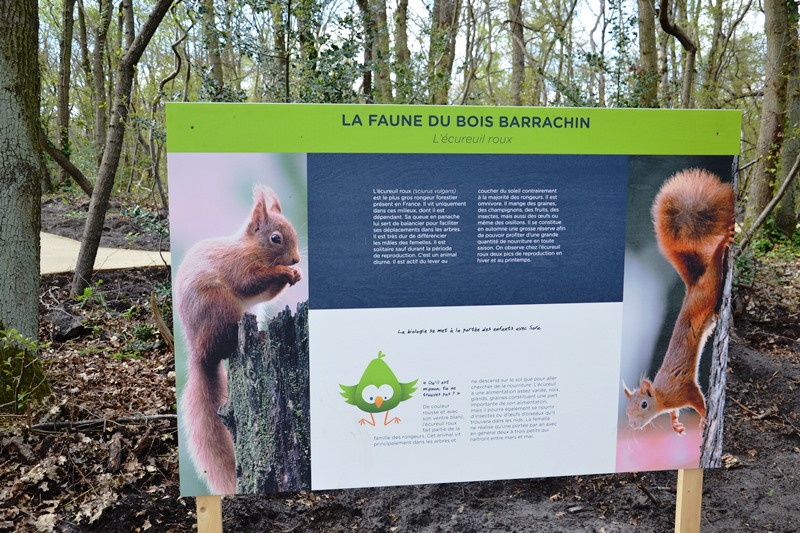 Bois Barrachin à Beauchamp