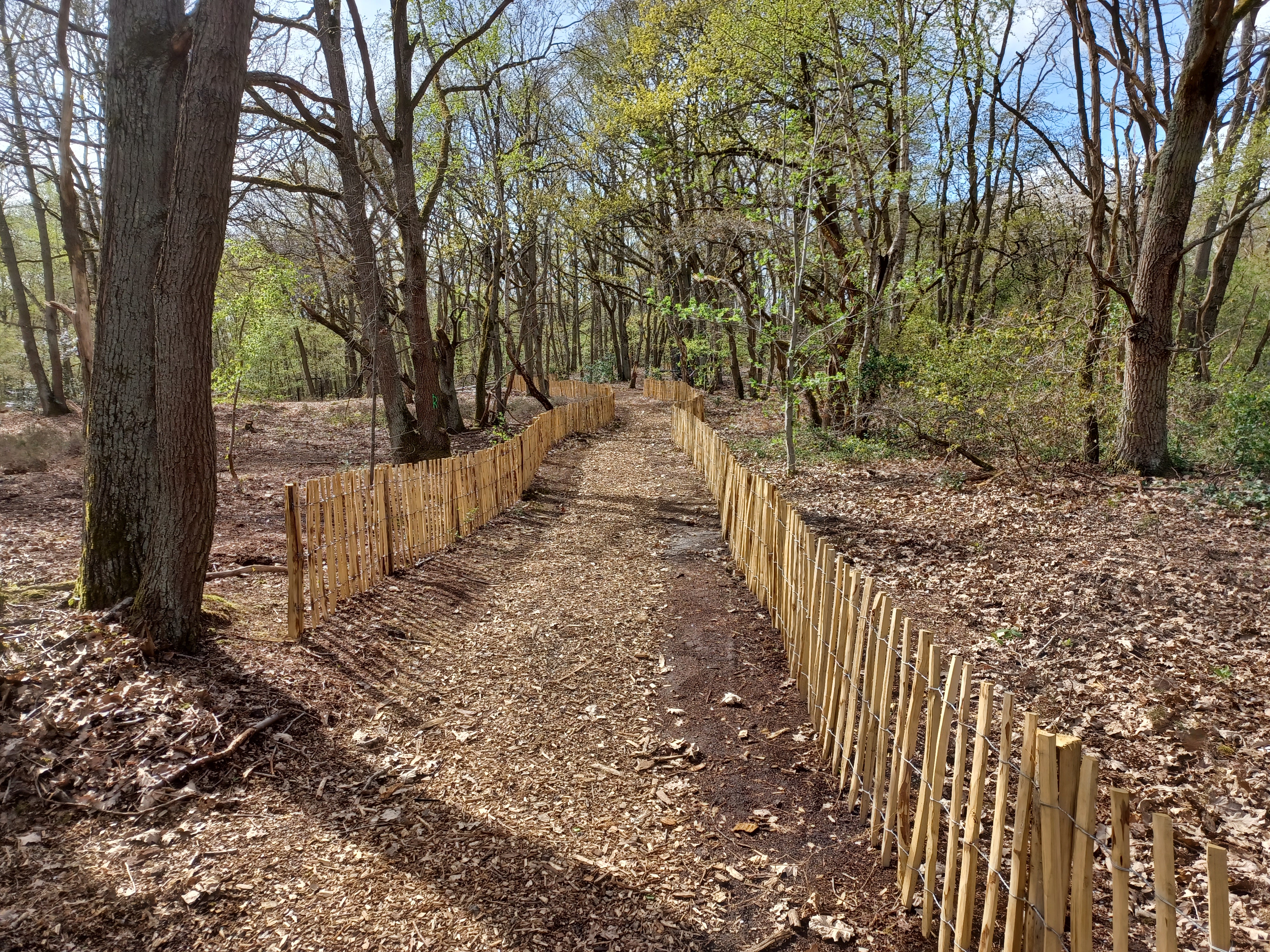 Bois de Barachin - 2026