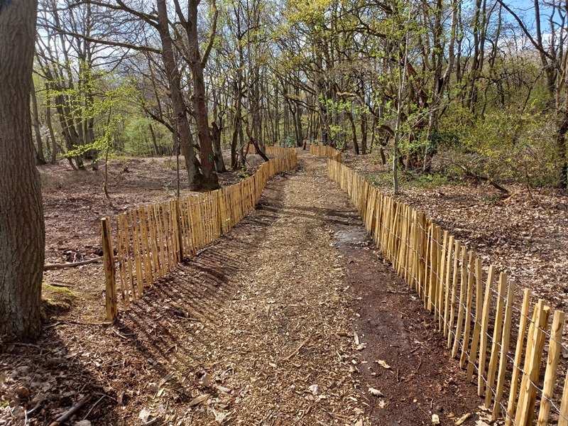 Bois Barrachin à Beauchamp