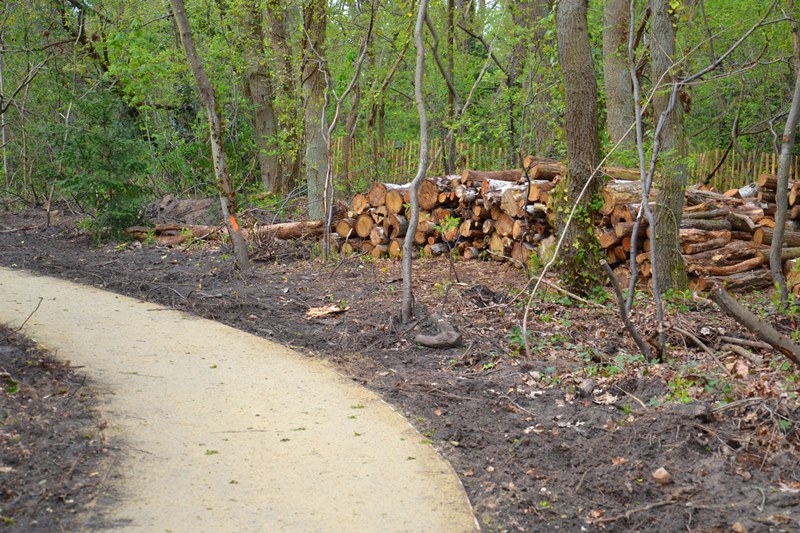 Bois Barrachin à Beauchamp