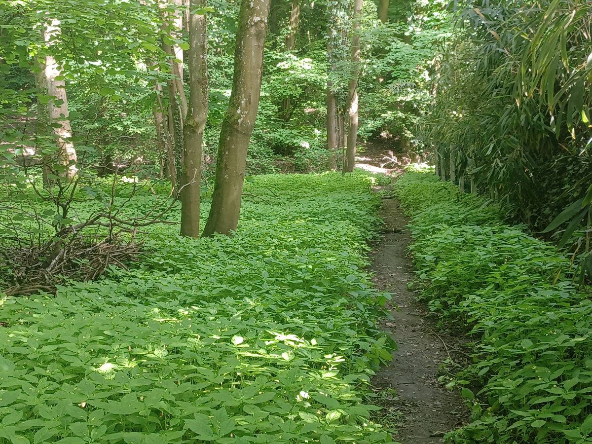 Bessancourt - parcours des sentes 