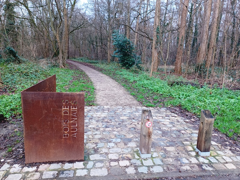 Bois des Aulnaies - Taverny