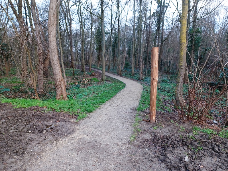 Bois des Aulnaies - Taverny